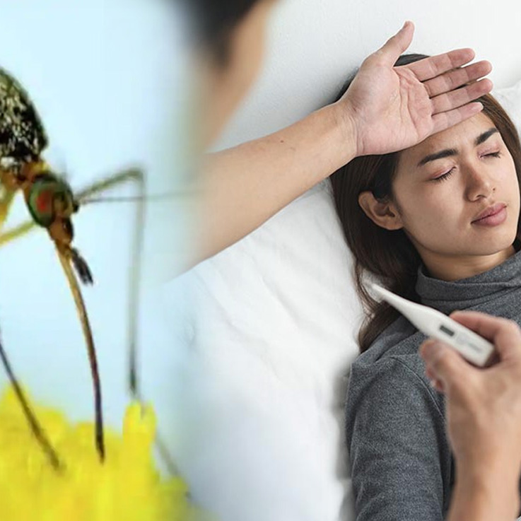 Potential Complications of Malaria You Should Know About